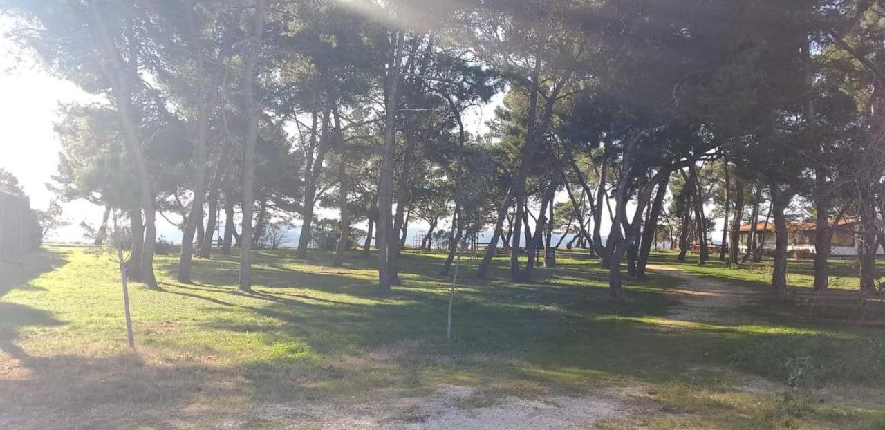 Apartman Petar Apartman Zára Kültér fotó